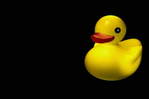 Rubber Duckie Transition Stock Footage 10870611