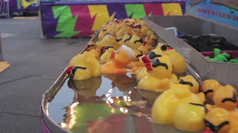 Rubber Duckies Racing Stock Footage 28569876
