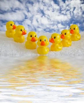 Rubber ducklings Foto stock