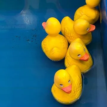 Rubber Ducks - 1 Stock Photos