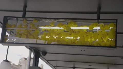 Rubber Ducks Arranged in Glass Display Case Under Awning on Sydney Street Stock Footage 345663380