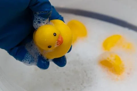 Rubber Ducks Being Washed in a Soapy Basin During a Fun Cleaning Activity Stock Photos