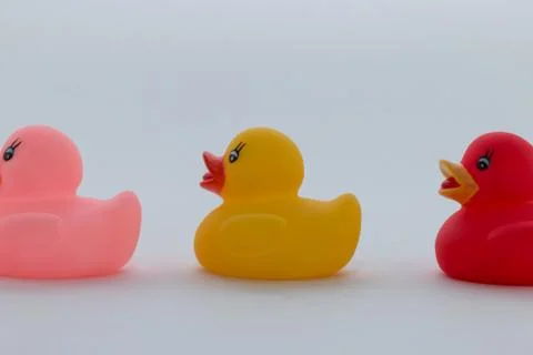 Rubber ducks in different colors 스톡 사진