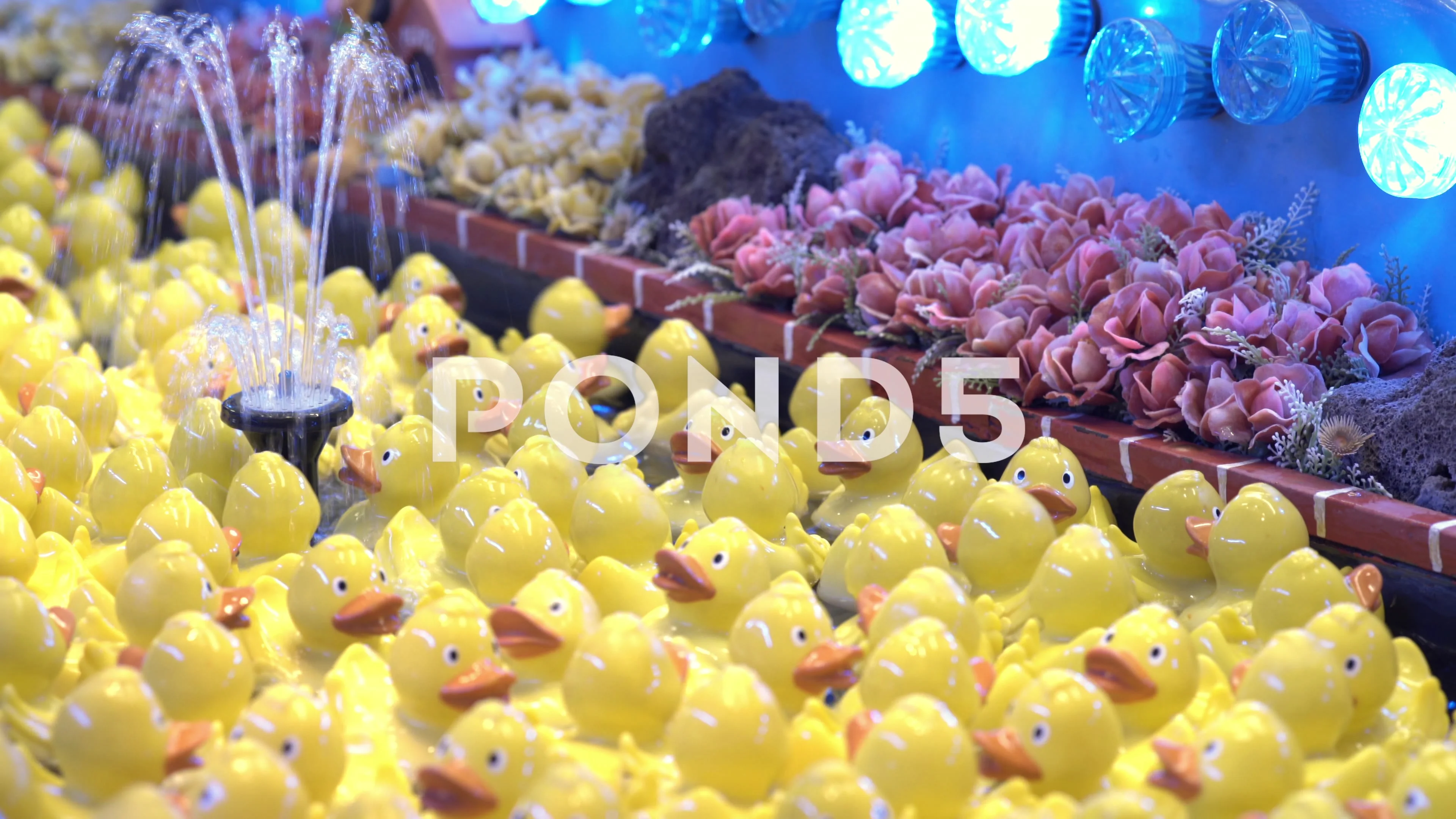 Rubber Ducks floating in carnival game 4, Stock Video