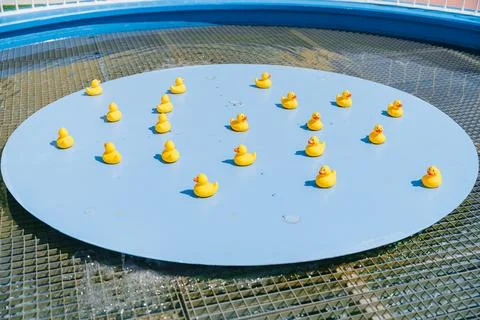 Rubber Ducks Floating on Circular Platform in Pool Stock-Fotos