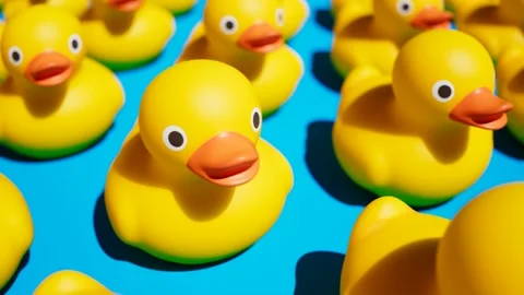Rubber ducks for fun in the bath. Cute yellow toys arranged in rows. Ducklings. Stock Footage 139801554