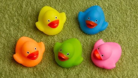 Rubber ducks isolated Stock Photos