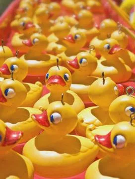 Rubber ducks Stock Photos