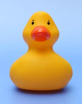 Rubber Ducks Stock Photos
