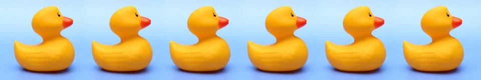 Rubber Ducks Stock Photos
