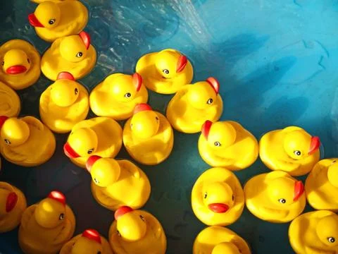 Rubber ducks Stock Photos