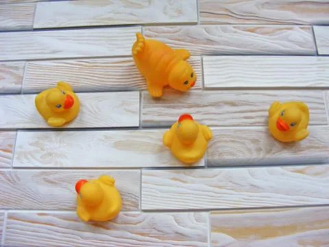 Rubber ducks Stock Photos