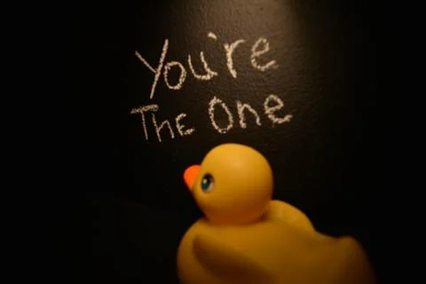 Rubber Ducky Stock Photos