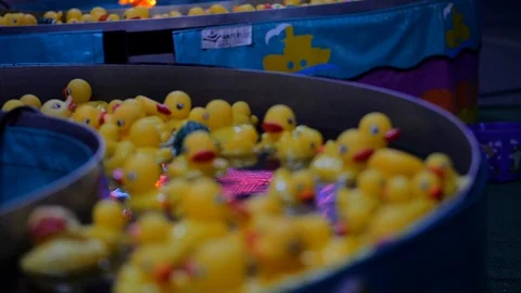 Rubber ducky's 스톡 동영상 103642893