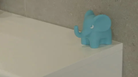 Rubber Elephant on bath Stock Footage 260337596
