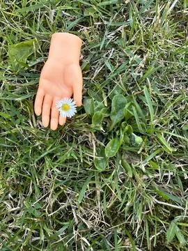 Rubber finger puppet tiny hand holding a small flower on green grass Stock Photos