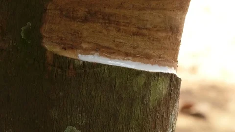 Rubber Stock Footage 112333384