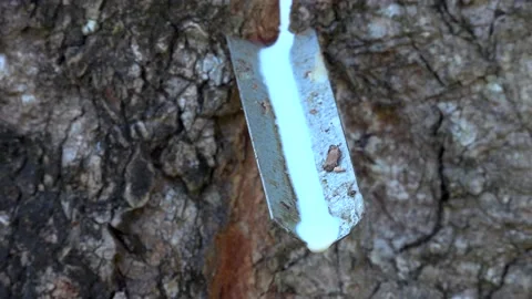 Rubber Stock Footage 154123583