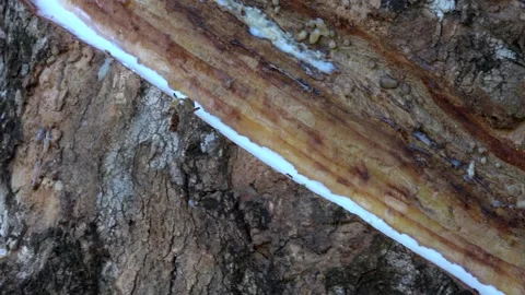 Rubber 库存影片 154126572