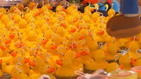 Rubber hook ducks Stock Footage 94641513