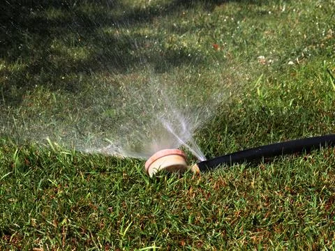 A rubber irrigation hose Stock Photos