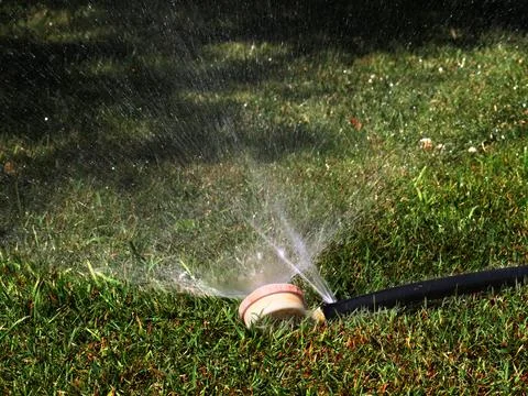 A rubber irrigation hose Stock Photos