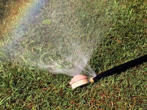A rubber irrigation hose Stock Photos