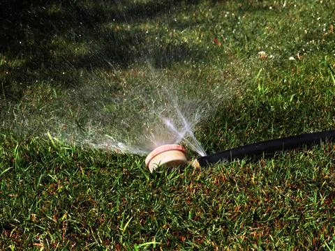 A rubber irrigation hose Stock Photos