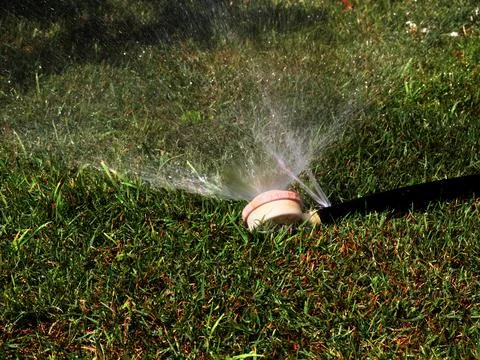A rubber irrigation hose Stock Photos