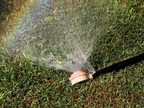 A rubber irrigation hose Stock Photos