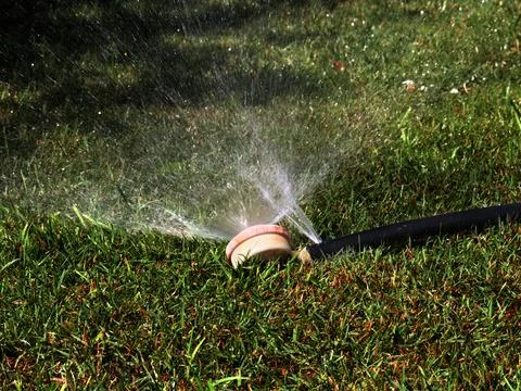 A rubber irrigation hose Stock Photos