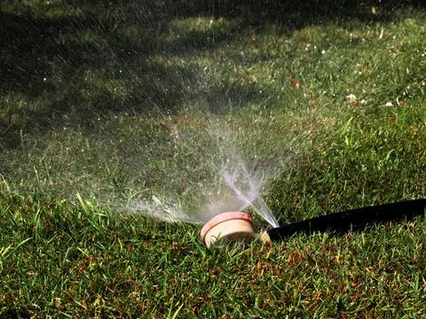 A rubber irrigation hose Stock Photos