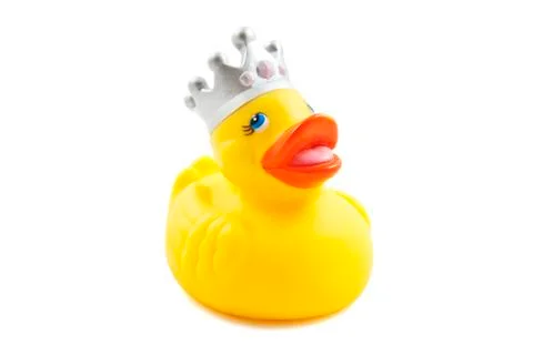 Rubber king duck Stock Photos