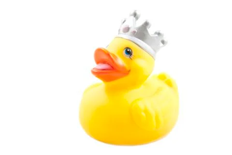 Rubber king duck Stock Photos