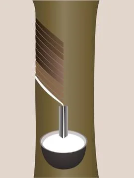 Rubber latex extracted from rubber tree isolated on beige background Stock Illustration