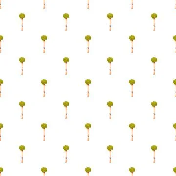 Rubber producing trees pattern on white background Stock Illustration