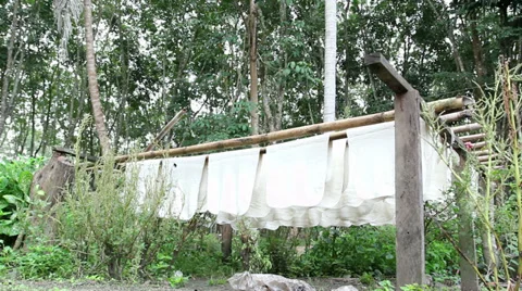Rubber raw sheets hanging on bamboo sticks ,Thailand Video stock 33602395