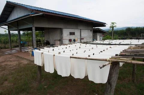 Rubber sheet Stock Photos