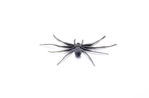 Rubber spider toy for kids. Image on white background. Stock Photos