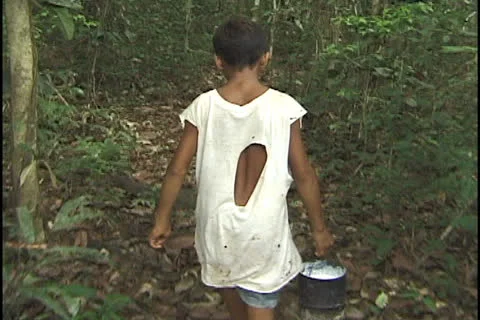 Rubber tapper in the state of Acre, Brazil. Stock Footage 24257493