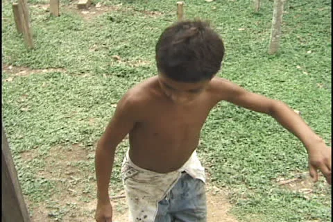 Rubber tapper in the state of Acre, Brazil. Stock Footage 24259732