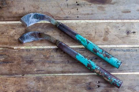 Rubber tapping knife Foto stock