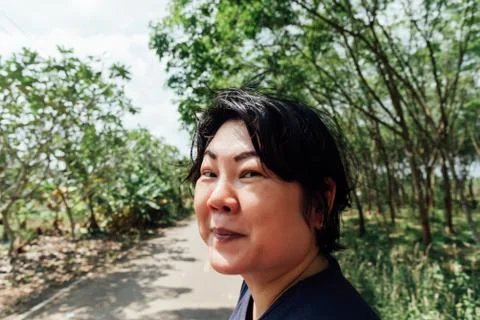 Rubber tree in row at a rubber tree plantation Stock-Fotos