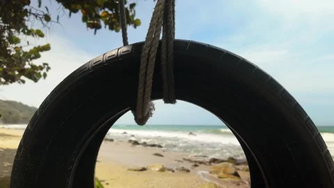 Rubber tree with a swing made from a car tire set against the backdrop of Urama Stock Footage 308454895
