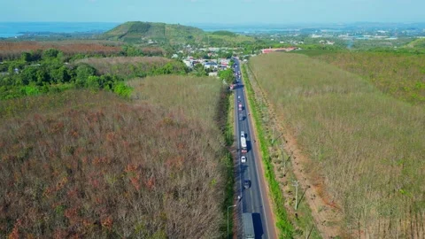 The Rubber trees around Video stock 235818202