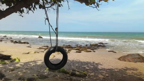 Rubber tyre swing dangling from a tree near the ocean Stock Footage 308505482