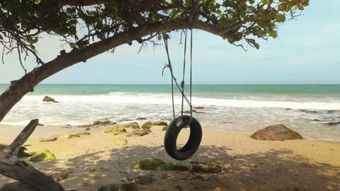 Rubber tyre swing hanging from tree with stunning ocean views in tranquil Stock Footage 308453092