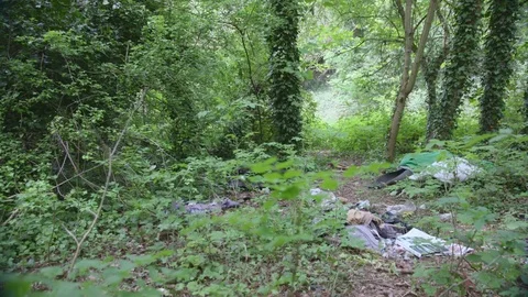 Rubbish Abandoned in forest Видео 75468650