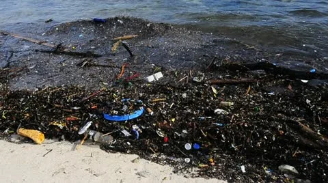 Rubbish at the beach Stock Footage 11725688