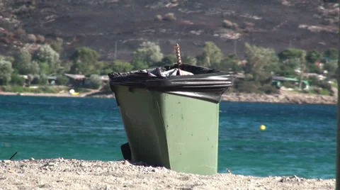 Rubbish Bin at Beach Vidéo 33066138